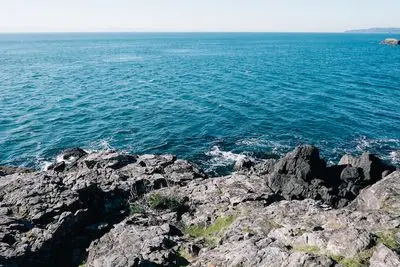 Why Most Newsletters Fail