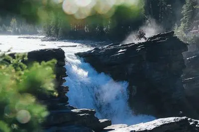 The March 2015 Blog Report