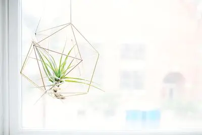 What’s the Best Day of the Week to Send Emails?