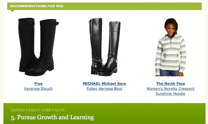 Zappos Upselling Strategy Zappos Upselling Strategy customer lifetime value example