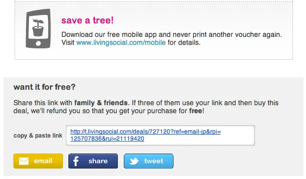 living-social-email-marketing