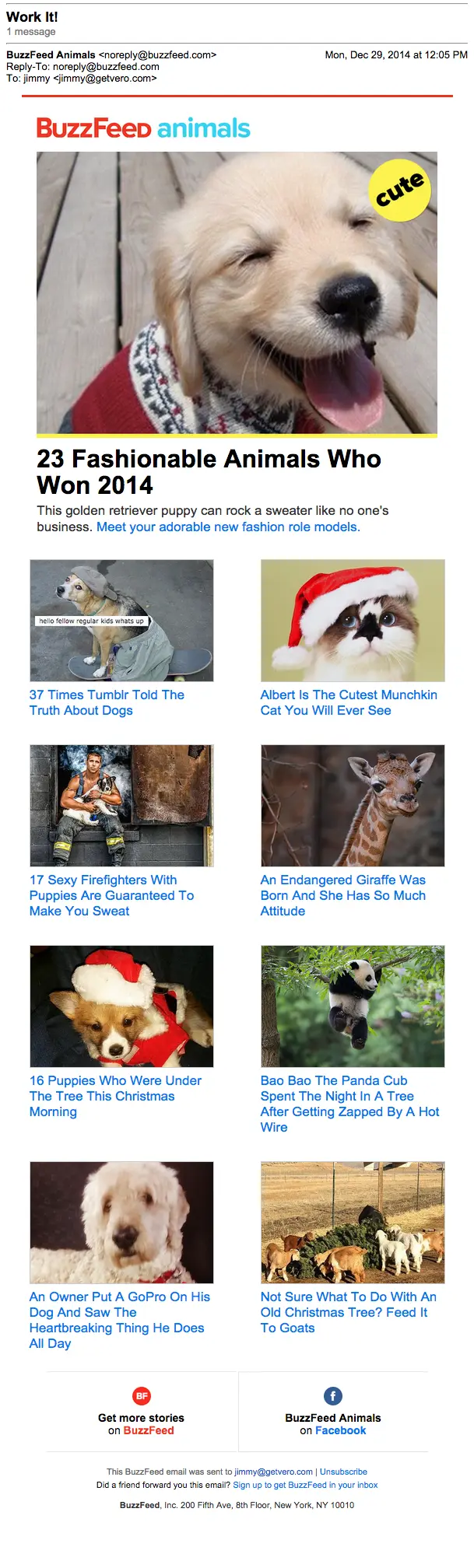 Buzzfeed_Animals