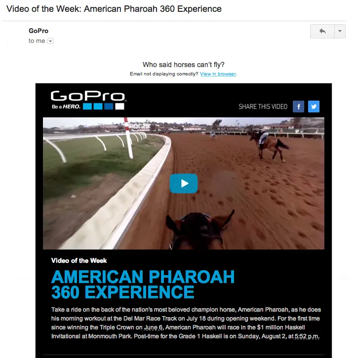 gopro newsletter